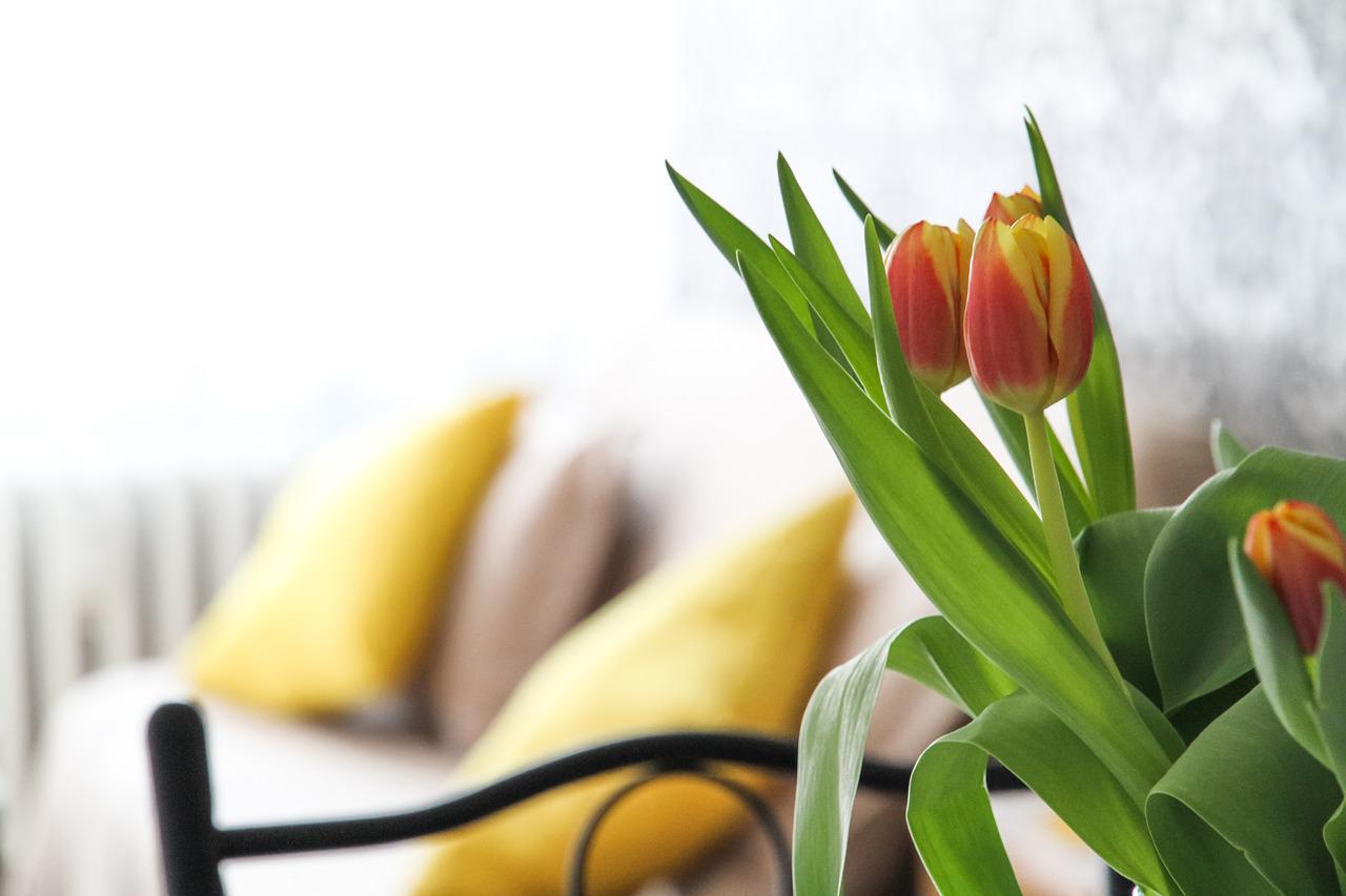 Bloemen in huis