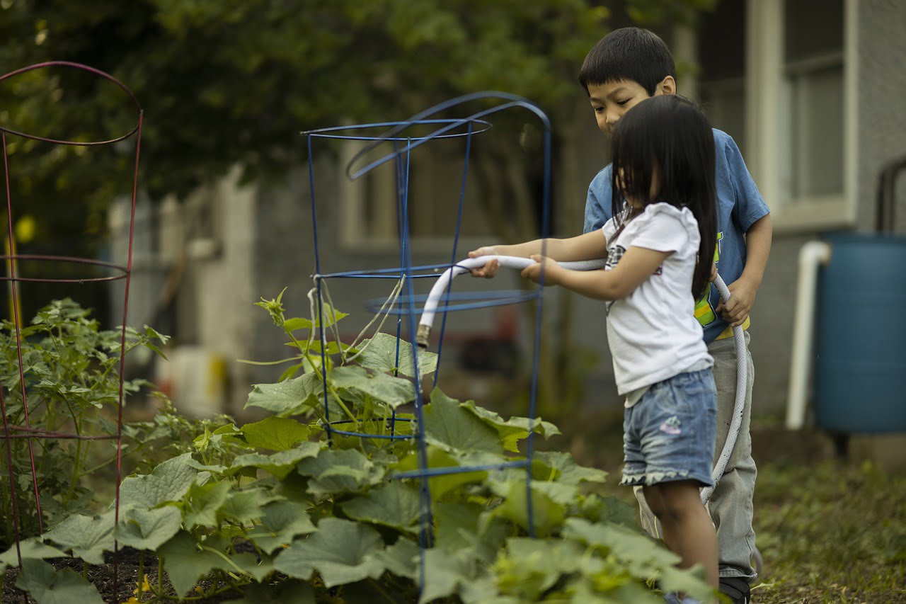 Kinderen in moestuin