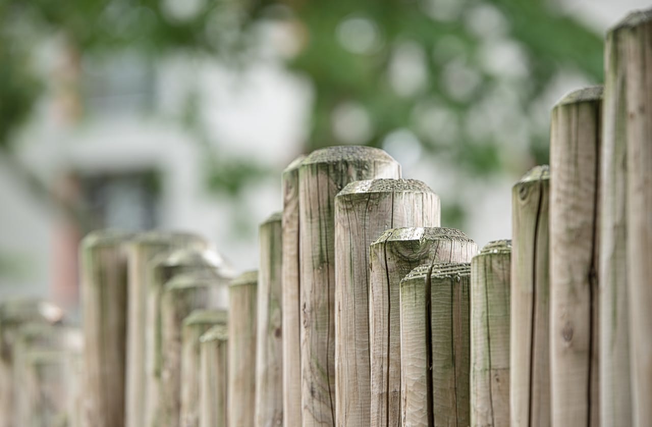 Hout