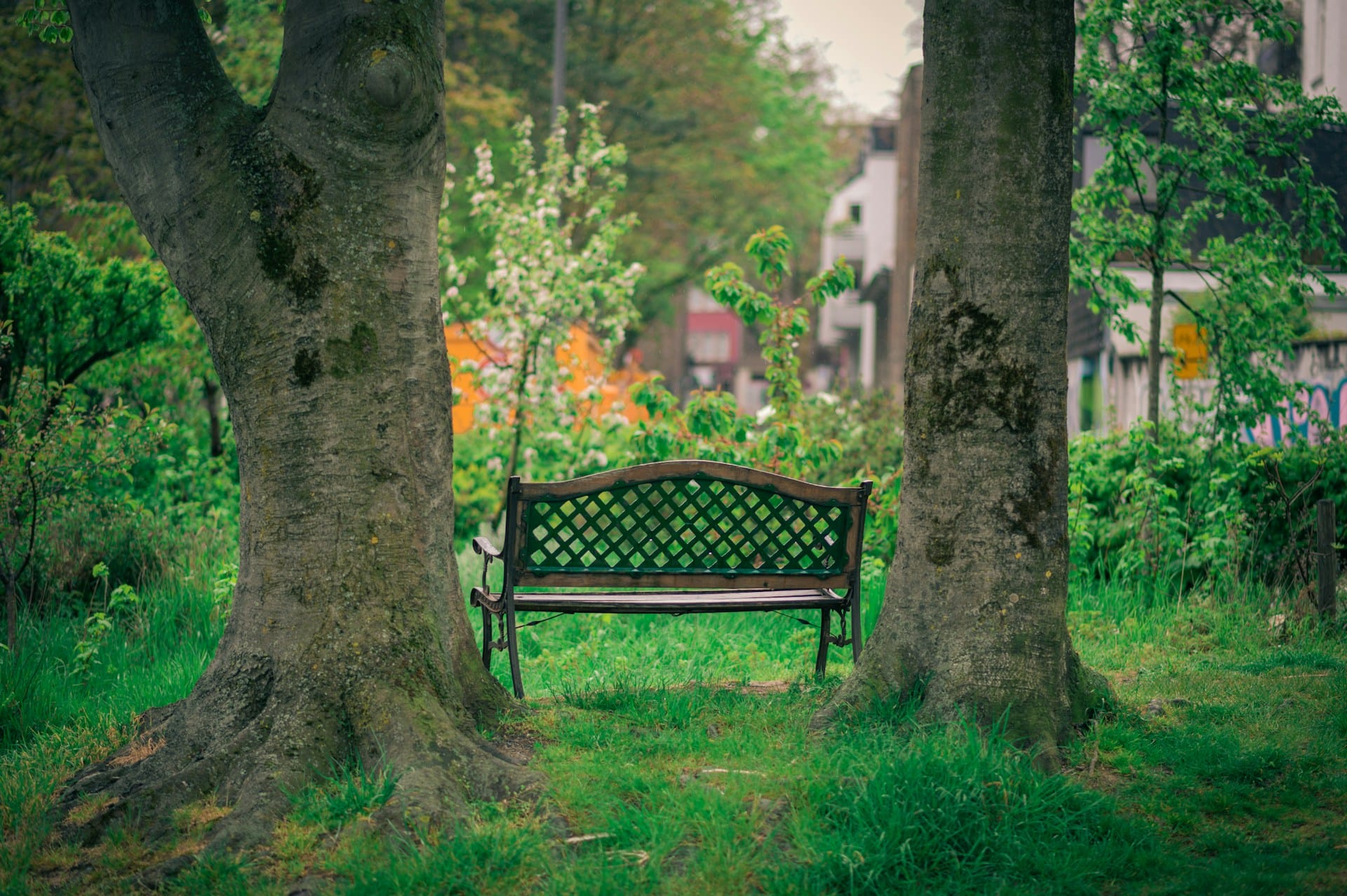 Bomen